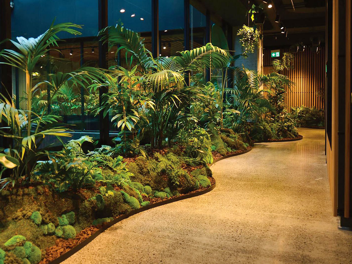Biophilic Design indoors enhancing well-being Biophilic Design indoors enhancing well-being
