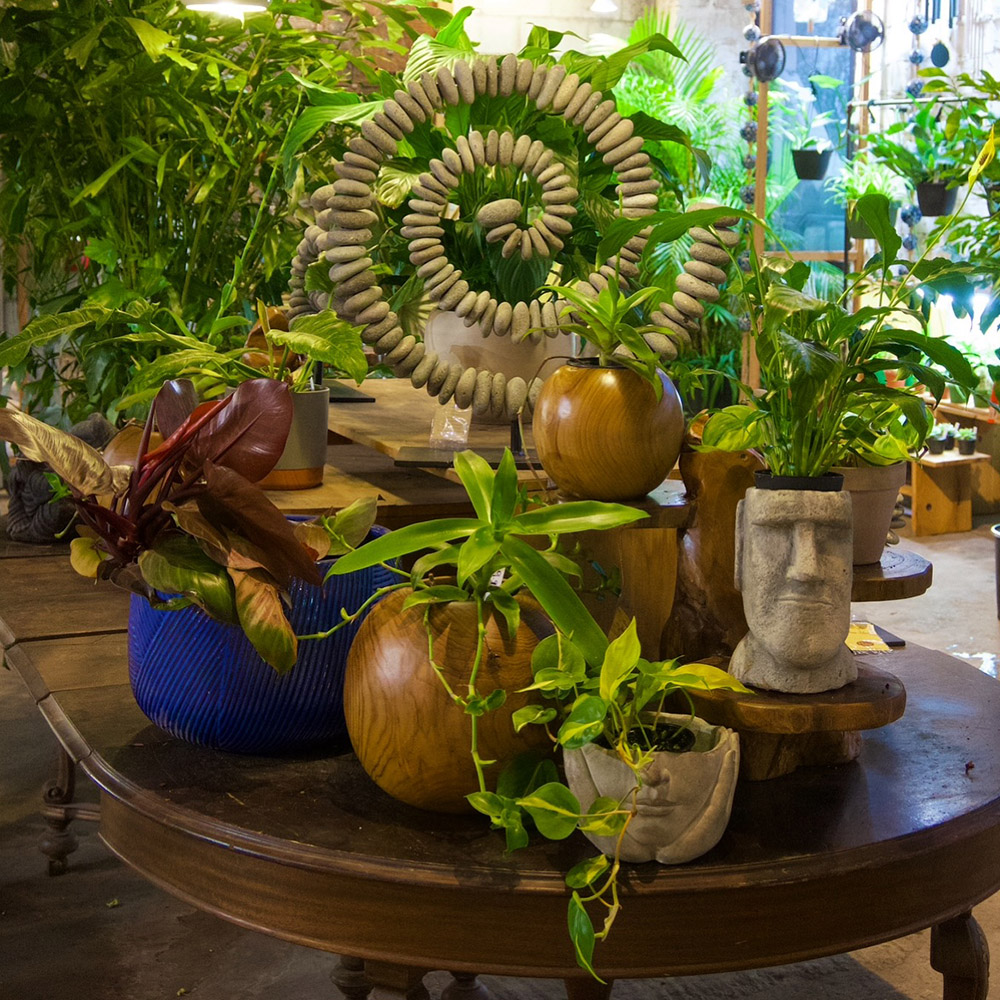 Biophilic Design in room by gardeners_outpost Biophilic Design in room by gardeners_outpost