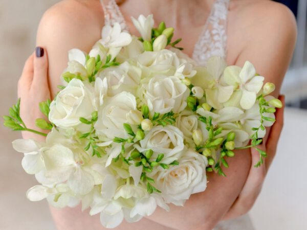 White avalanche roses on Thursd