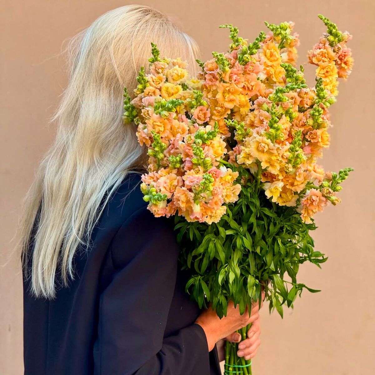 Peachy toned snapdragons in a bouquet; snapdragon flowers have vivid symbolism and have been long related to human mythology