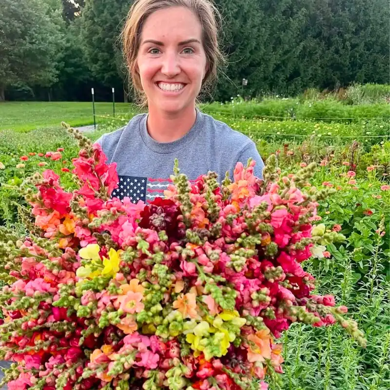 Snapdragon flower meaning and symbolism - Thursd Article featured Image