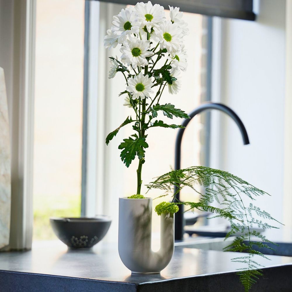 White Chrysanthemum Simple and Minimalist Design Ideas to Capture the Easy Essence of Summer