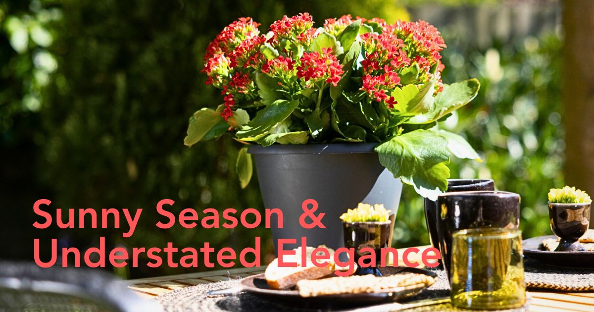 Simple and Minimalist Design Ideas to Capture the Easy Essence of Summer