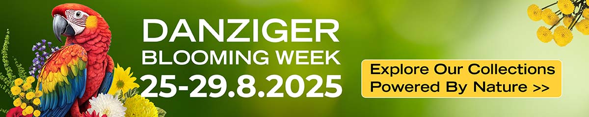 Danziger Blooming Week 25 to 29 August 2025
