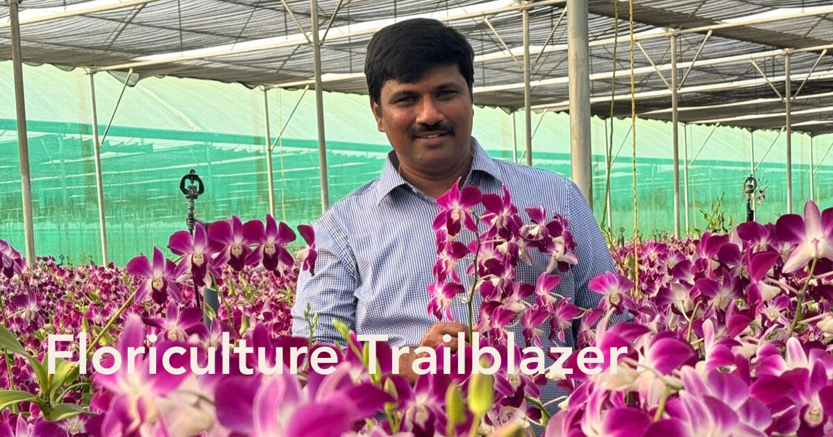 10 Questions to Srikanth