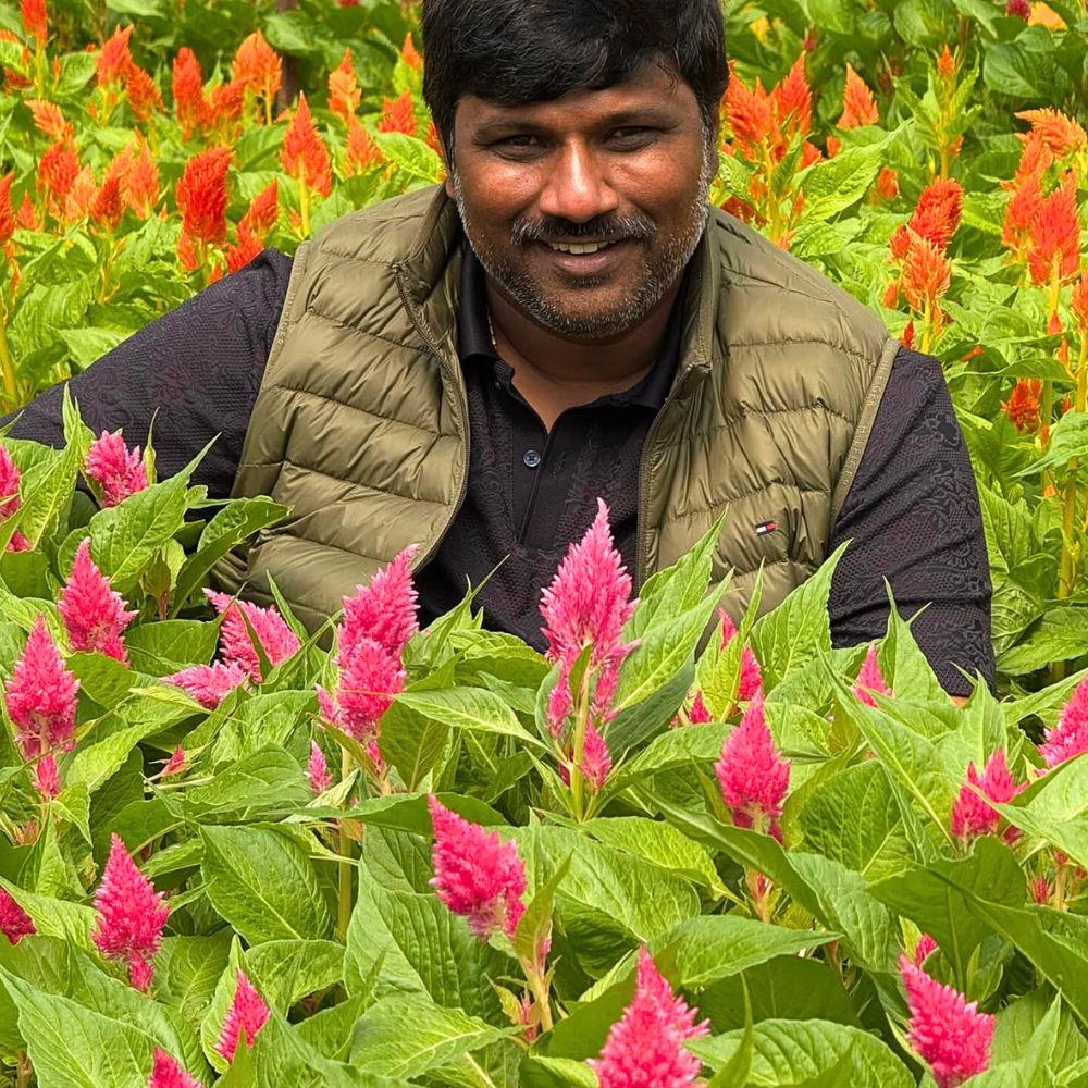 10 Questions to Srikanth