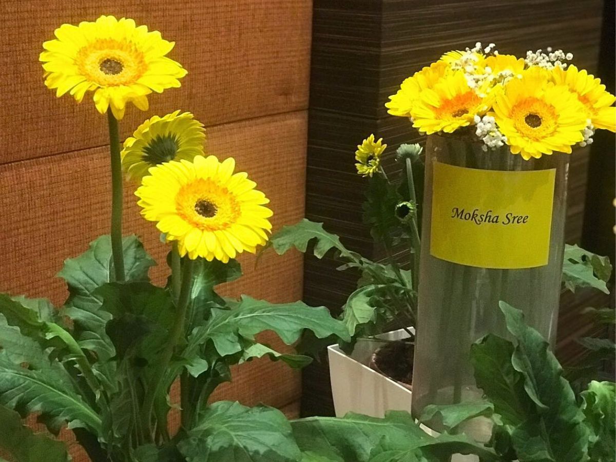 Gerbera Moksha Sree 10 Questions to Srikanth