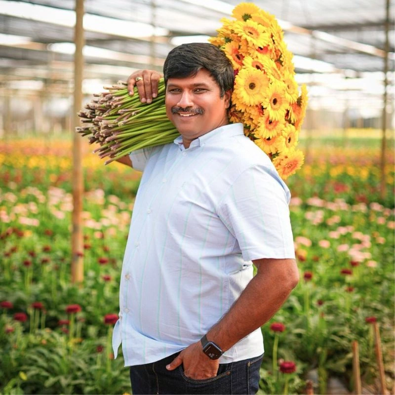 10 Questions to Srikanth