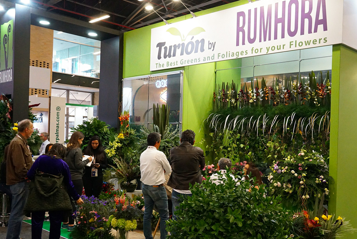 Turion foliage at Proflora 2023 Turion foliage at Proflora 2023