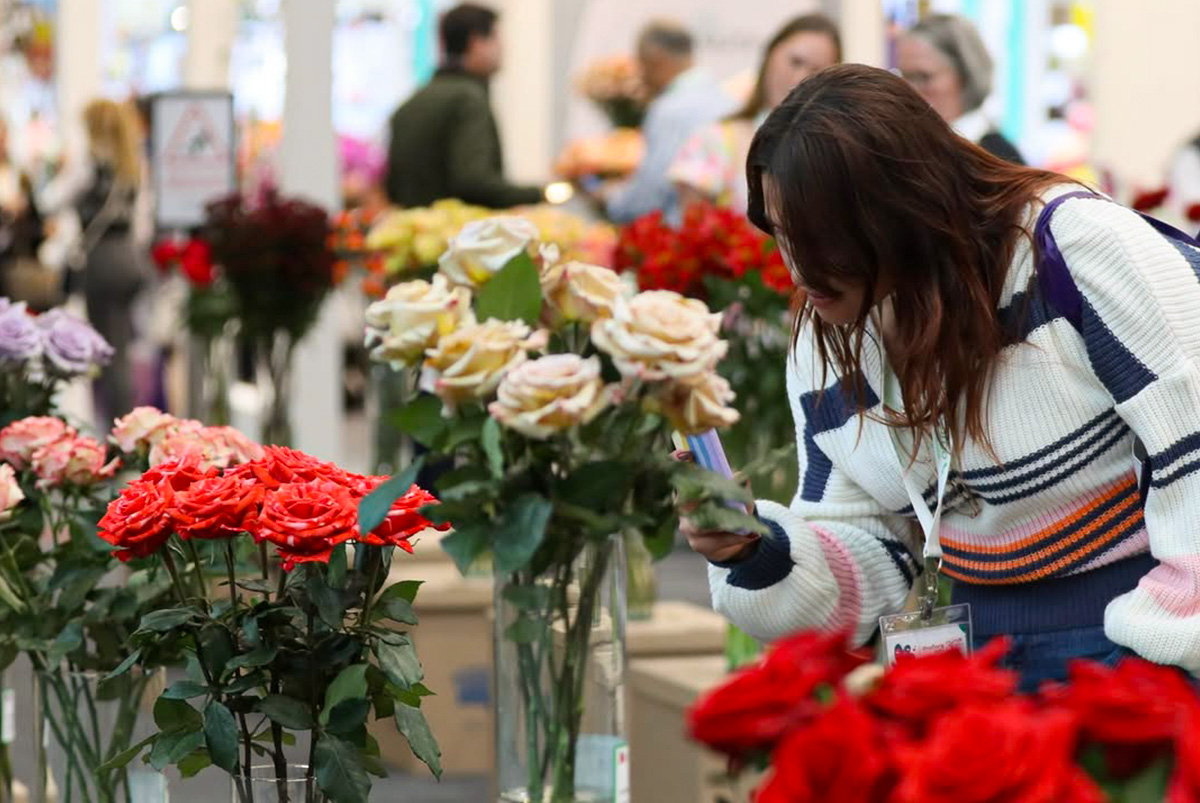 Looking at roses during Outstanding Varieties Competition 2023 Looking at roses during Outstanding Varieties Competition 2023