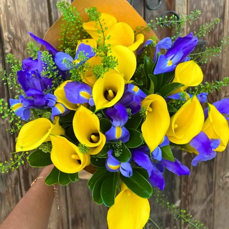 Yellow callas in a bouquet