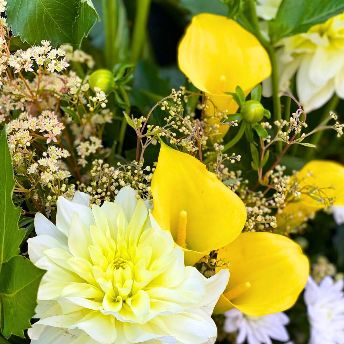 Yellow callas combined with other flowers