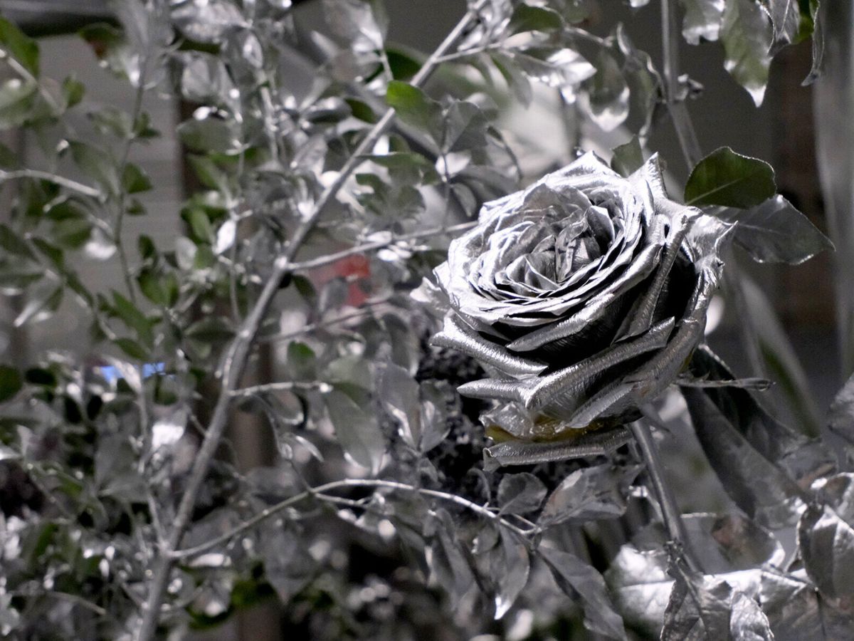 Shiny silver rose by Crosby Studios Shiny silver rose by Crosby Studios