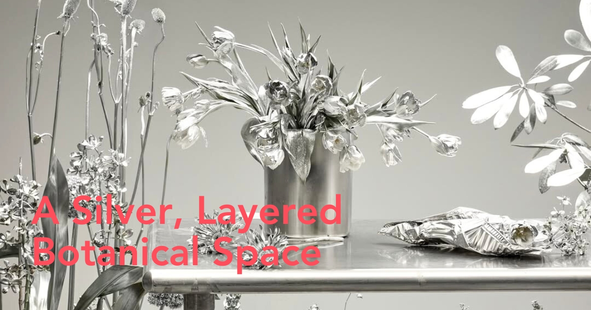 A silver botanical layered space
