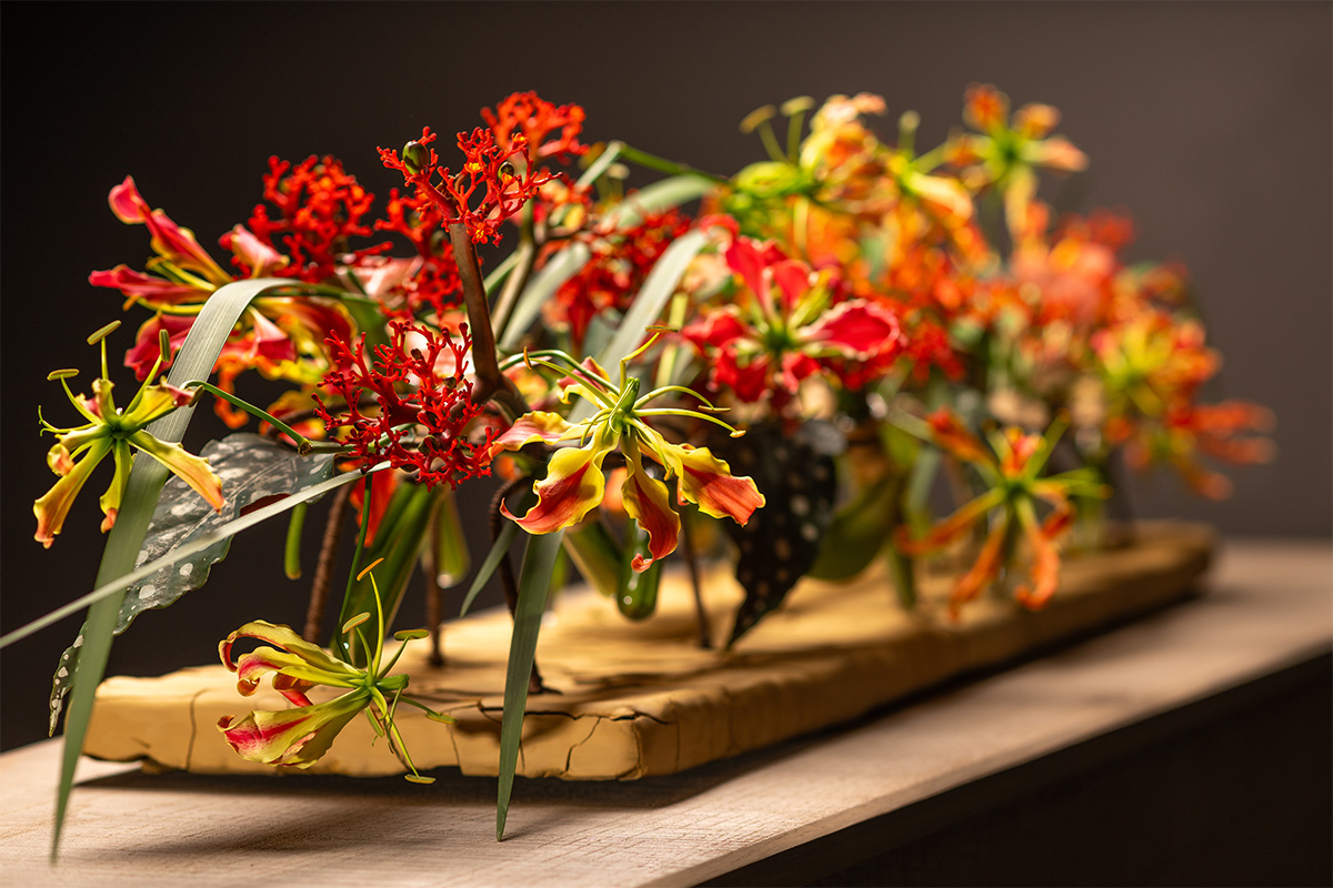 Marginpar design Gloriosa Jatropha by Chantal Post Marginpar design Gloriosa Jatropha by Chantal Post