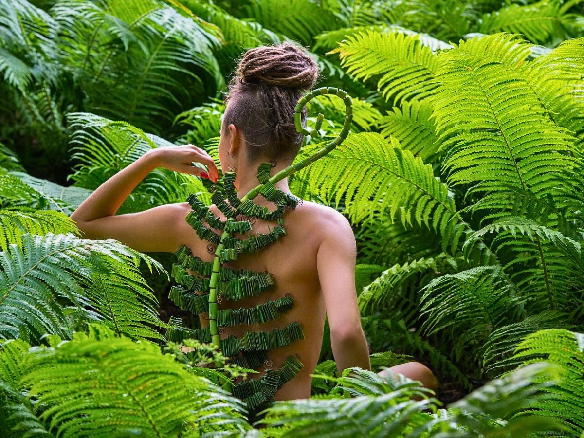 Ferns Ferns Stand for So Much You’d Be Delighted to Know