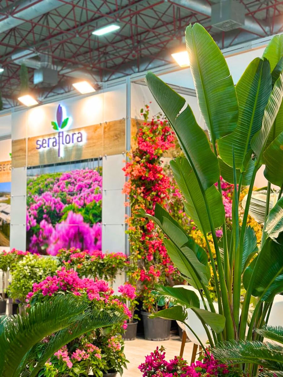 Seraflora landscaping art Seraflora landscaping art