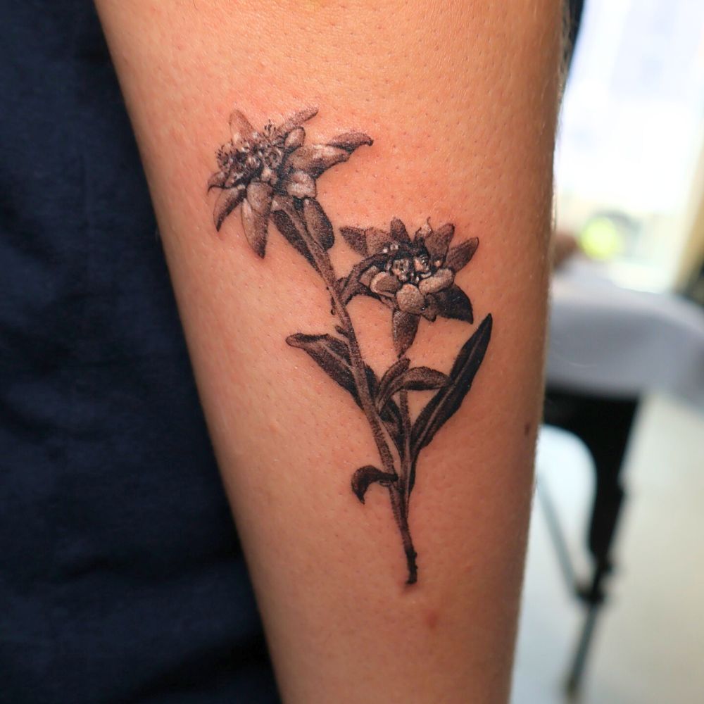 Edelweiss flower tattoo Edelweiss flower tattoo