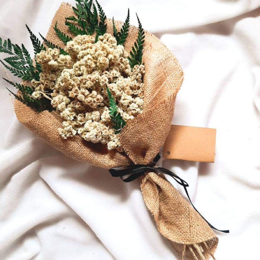 Edelweiss flower bouquet Edelweiss flower bouquet