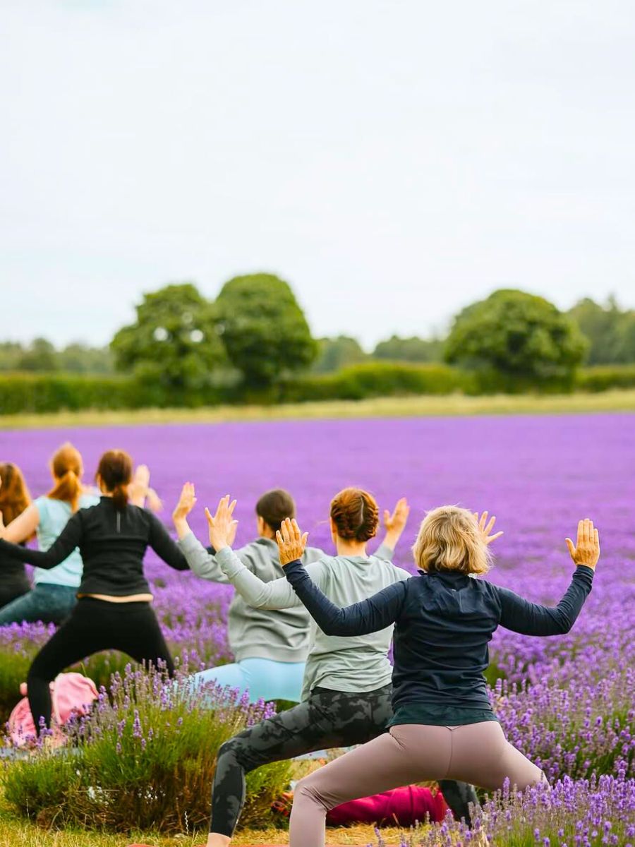 National Relaxation Day in a lavender field