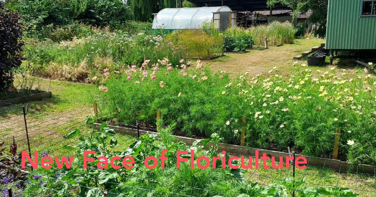 the Future of Smart Floriculture Header Image