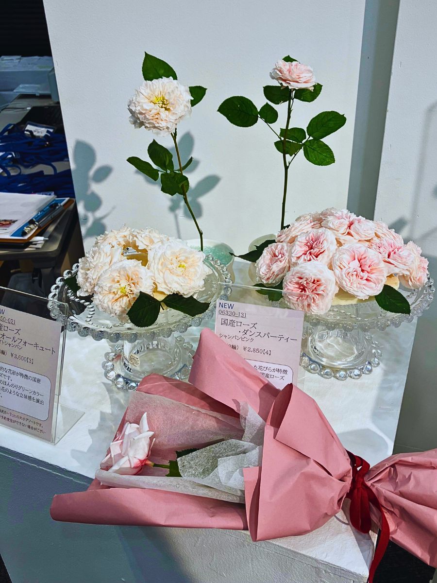 Japan’s Ohchi Farm Brings You the Best Preserved and Dried Floral Products.