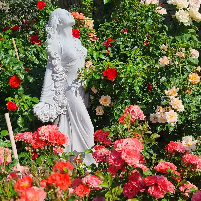 Flower Carpet Roses and Ideas to Use Them - Thursd Article Featured Image