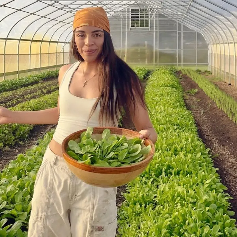 Nutritious Family Food Are Shaping Sustainability feature image