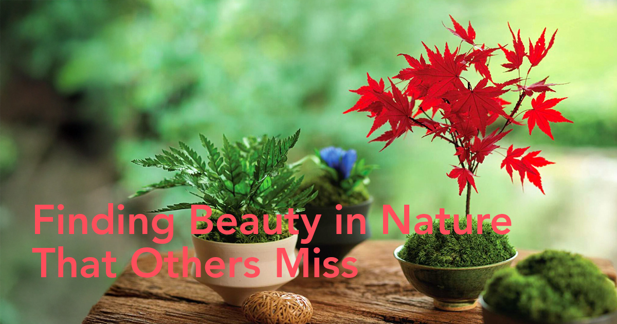 Japan’s Ohchi Farm Brings You the Best Preserved Flowers and Dried Floral Products.