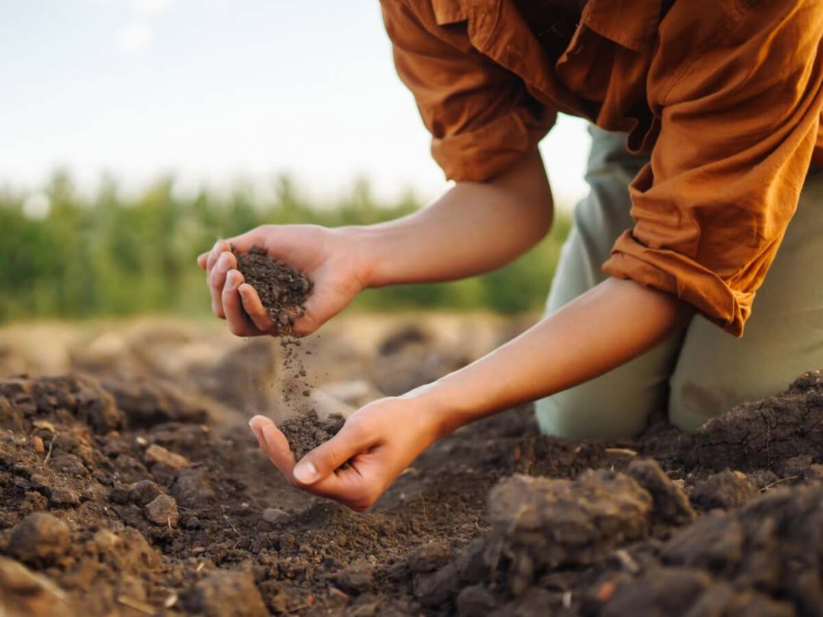 Hands testing soil quality outdoors Hands testing soil quality outdoors
