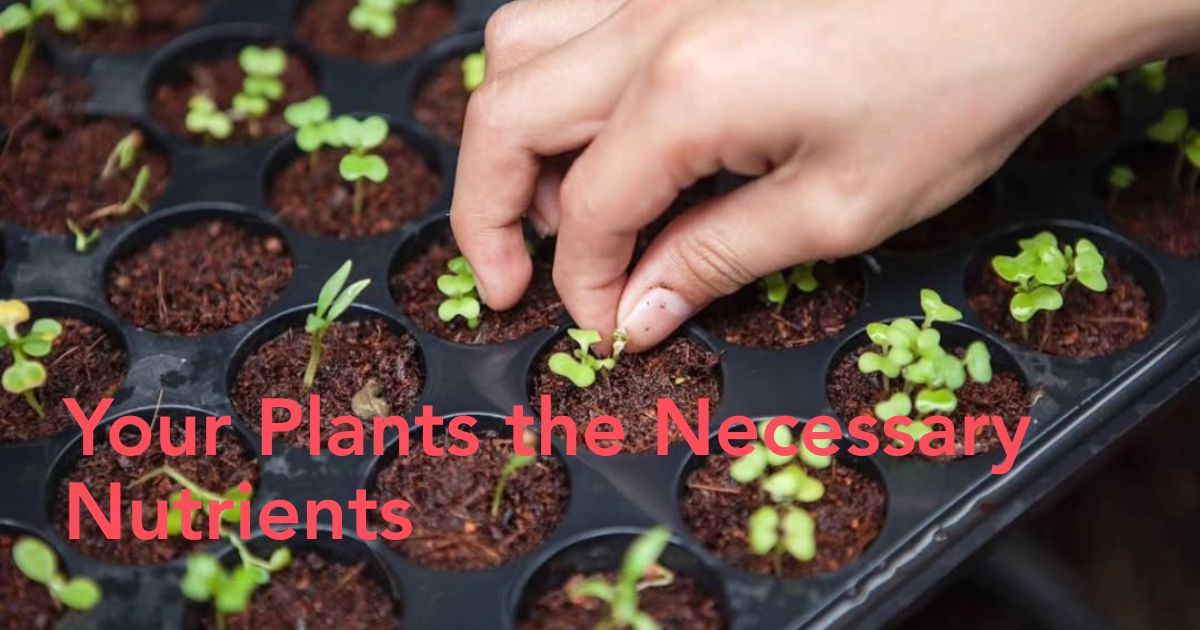 Boosting Soil Health Naturally Header Image