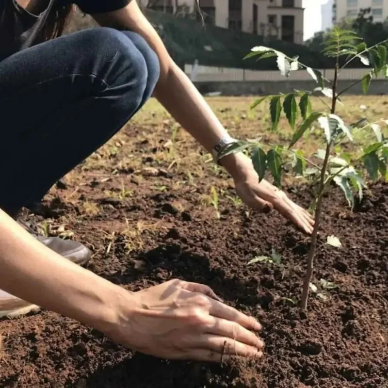 Boosting Soil Health Naturally feature image