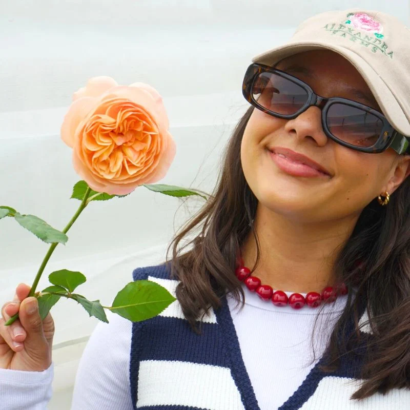 garden roses by alexandra farms