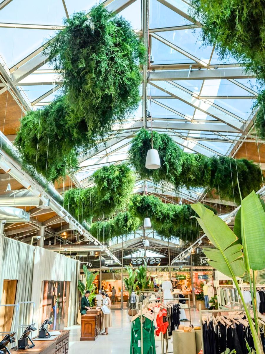 Using plants for interior decoration Using plants for interior decoration