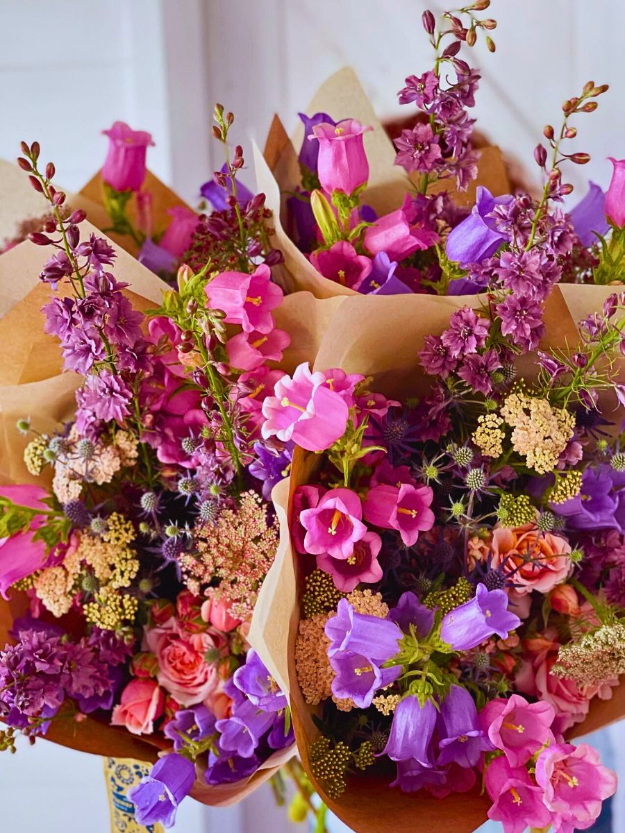 Canterbury bells in bouquet designs the purple and pink canterbury bells kept alongside various flowers of different shades including reddish brown, white, red and more