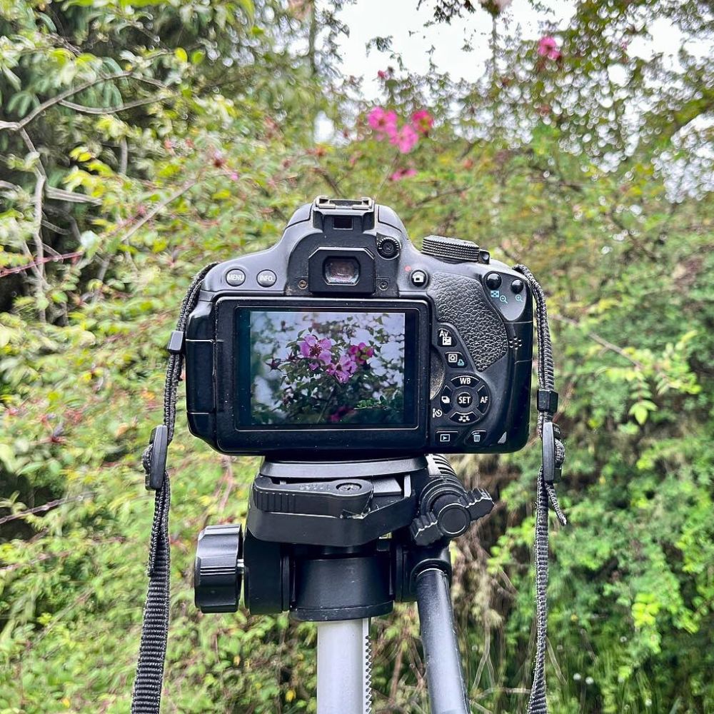 Camera captures the beauty of nature and its color National Photography Day