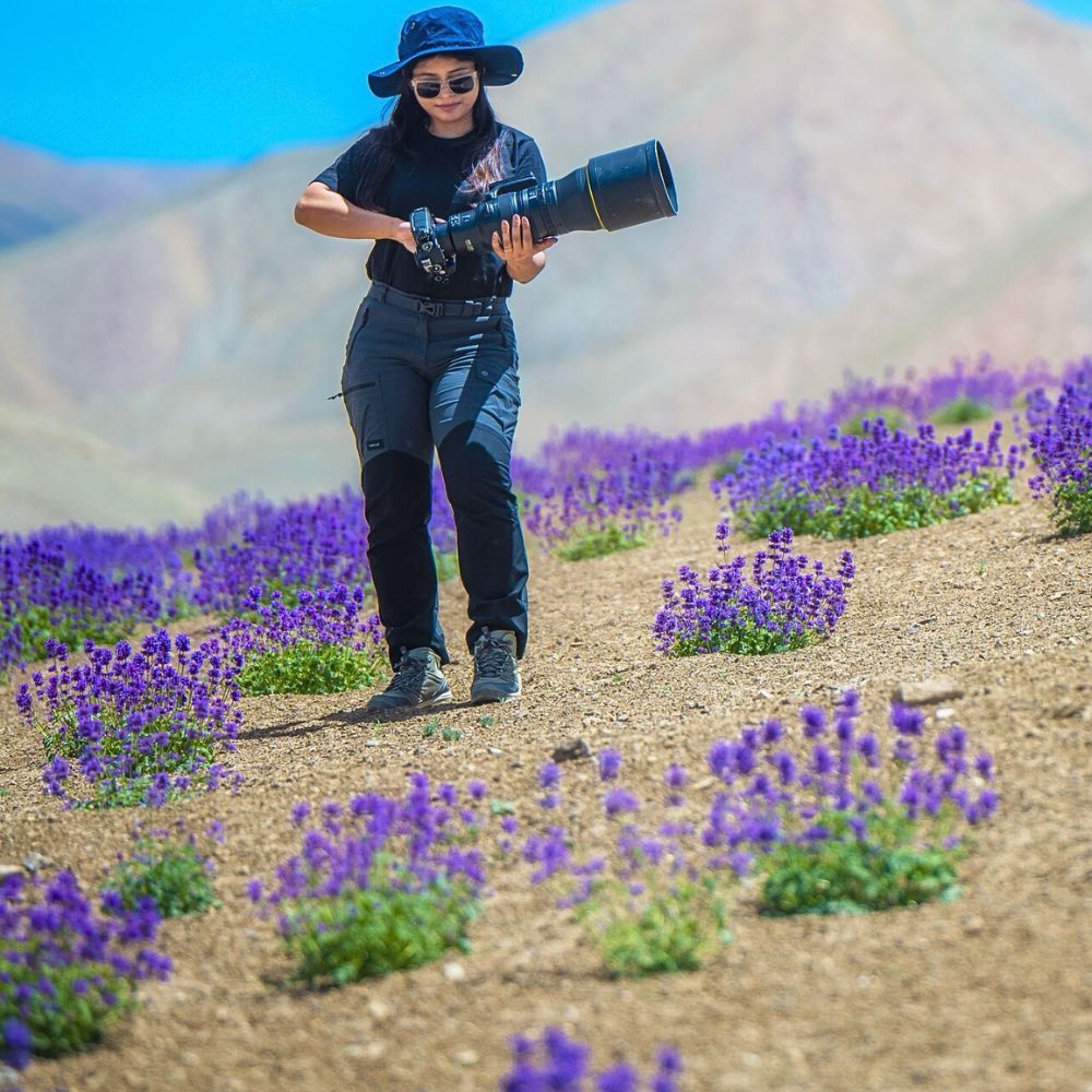 Photography in nature with beautiful purple flowers National Photography Day