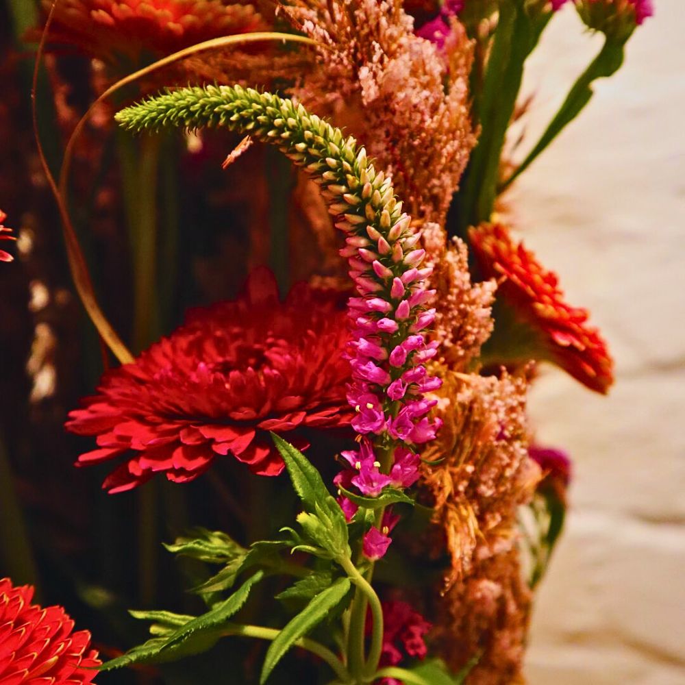 The ‘Parallel Welcome Design’ by Max Hurtaud. This masterpiece harmoniously blends the vibrant PETIT EDNA™, GENKI™, and PETIT BAR™ Gerberas with the delicate hues of SINUET™ ETERNAL PINK Limonium and the elegant SKYLER™ PINK Veronica.; inset: closeup of the Veronica flower