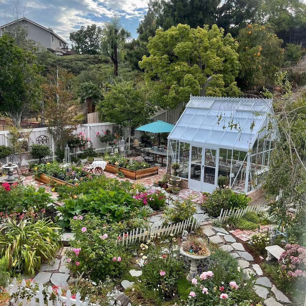 Beautiful backyard garden in summer Beautiful backyard garden in summer