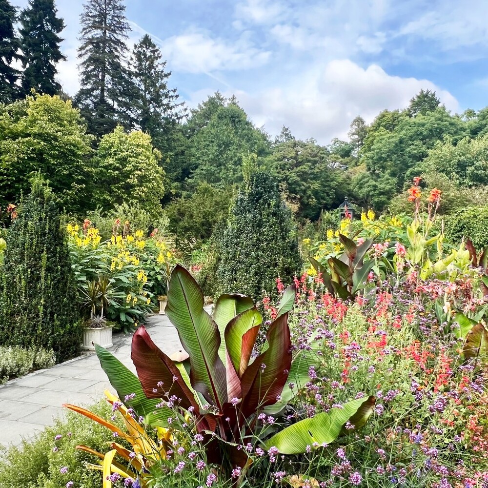 Colorful flowers lining garden path Colorful flowers lining garden path