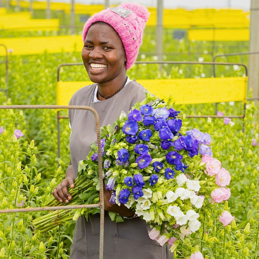 Flowers ate Africalla Kenya Flower Council’s Pinnacle Sustainability Awards 2025 Recognize the Very Best in Kenya’s Floral Sustainability Practices