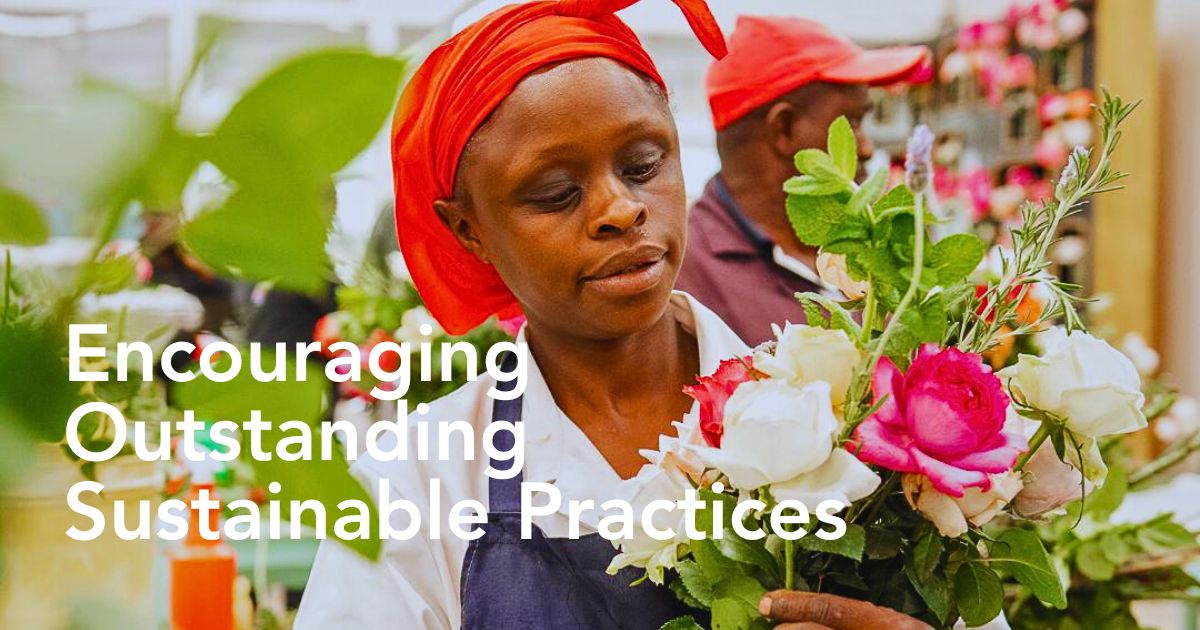 Kenya Flower Council’s Pinnacle Sustainability Awards 2025 Recognize the Very Best in Kenya’s Floral Sustainability Practices - Thursd Article
