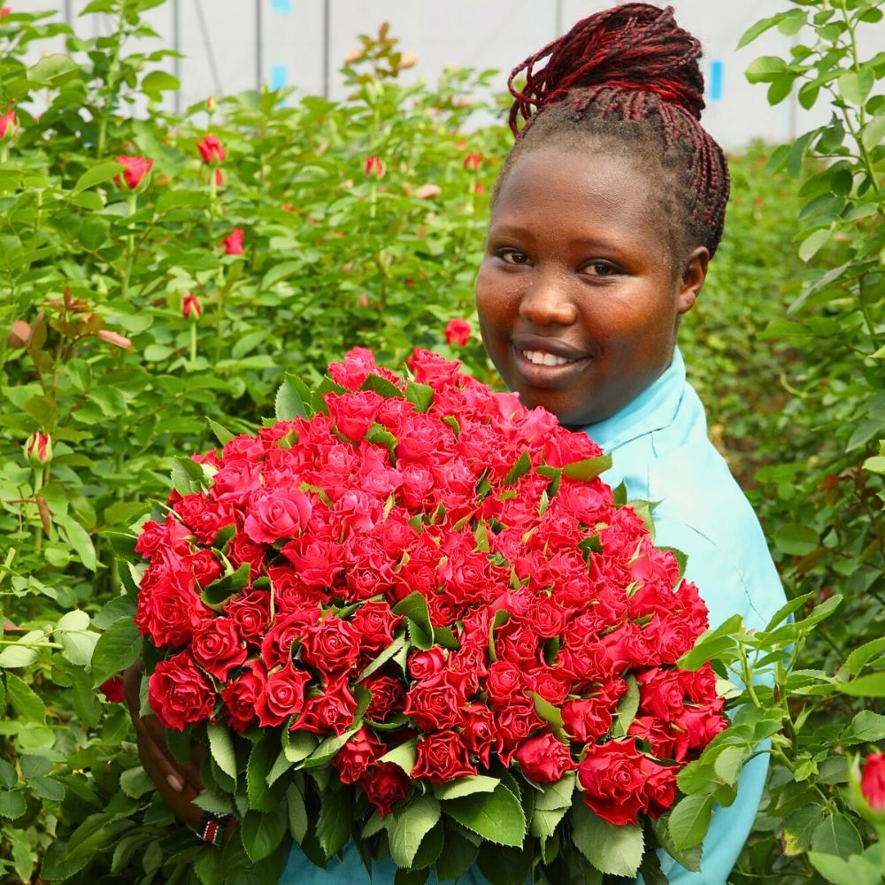 Black Tulip Group's roses Awards to Recognize Outstanding Sustainable Practices in Kenya’s Flower Industry