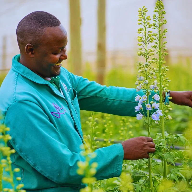 Kenya Flower Council’s Pinnacle Sustainability Awards 2025 Recognize the Very Best in Kenya’s Floral Sustainability Practices