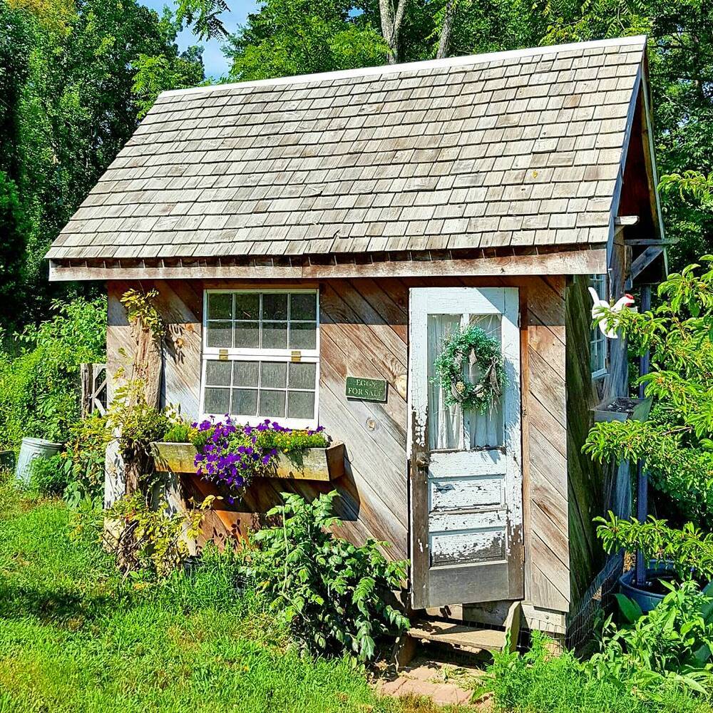 Rustic garden shed with tilt Rustic garden shed with tilt