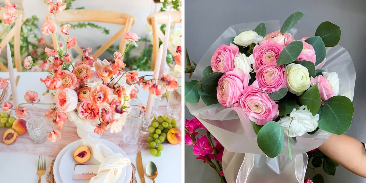 Ranunculus in peach and pink colors by Tessa Ranunculus in peach and pink colors by Tessa