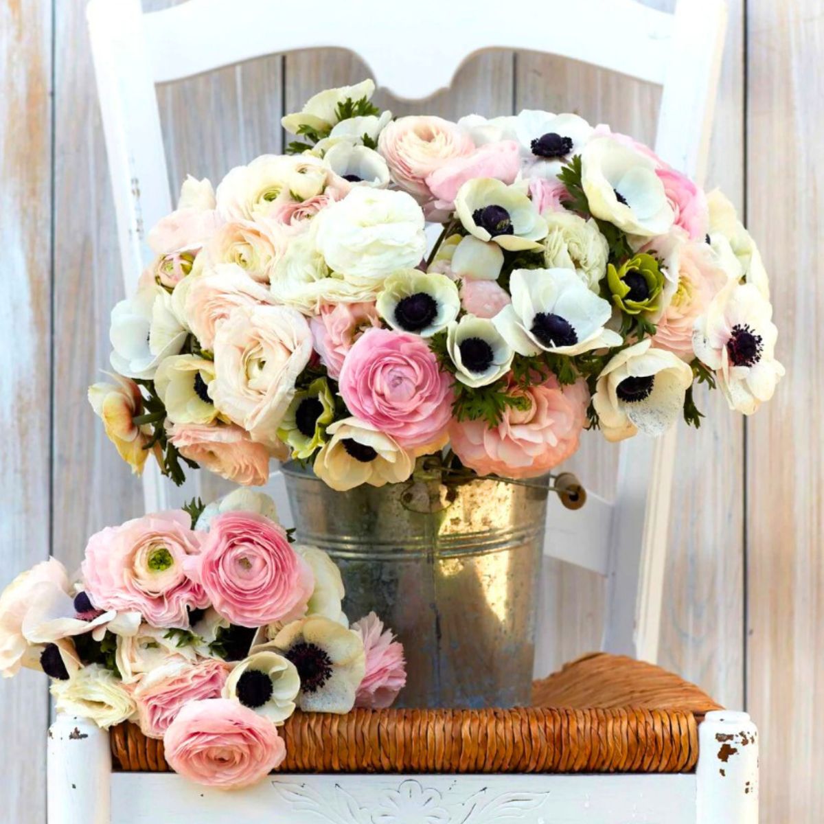 Ranunculus and anemone flowers in a bucket
