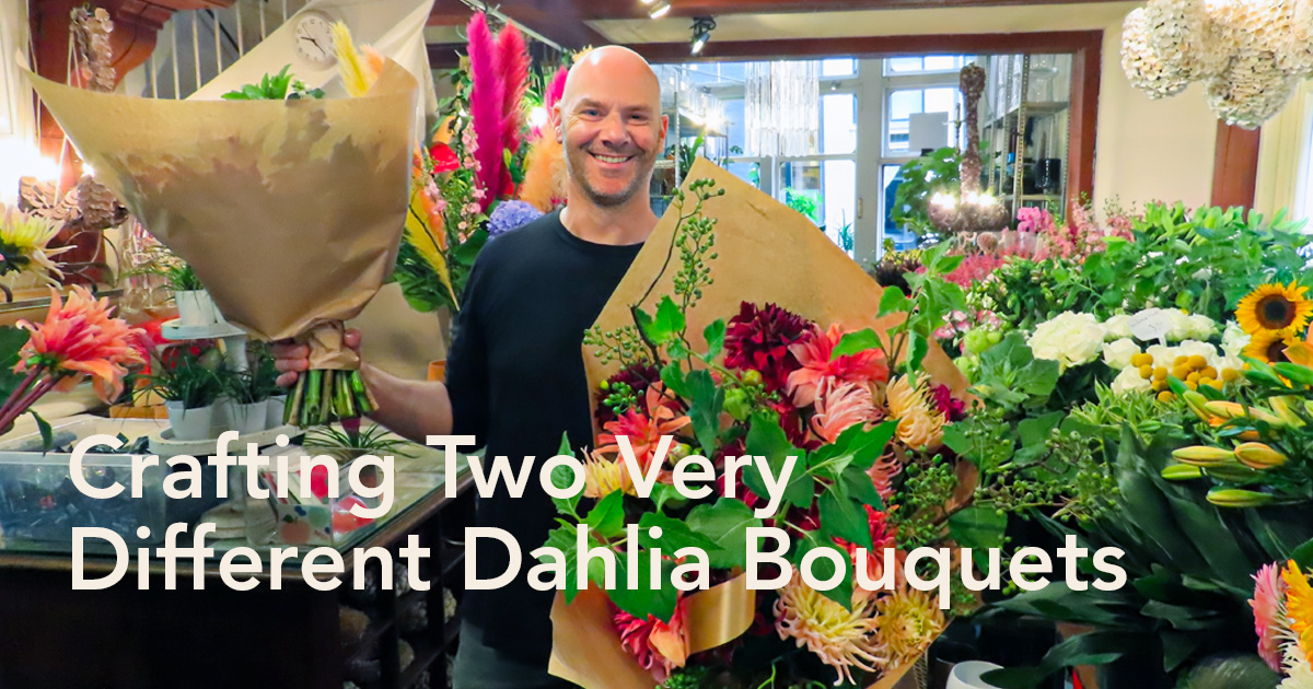My Dahlia Society at Jemi Bloemen