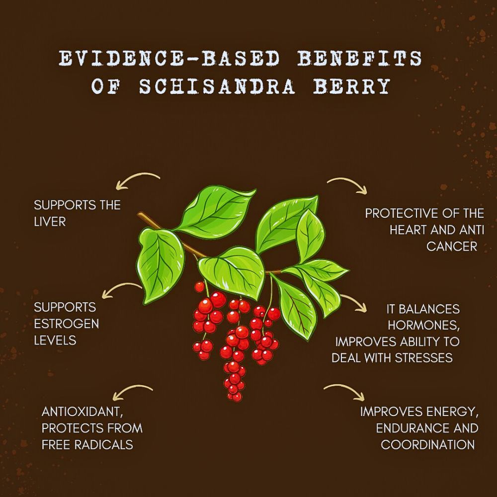 benefits of the Schisandra chinensis bail and its fruit bearing vine