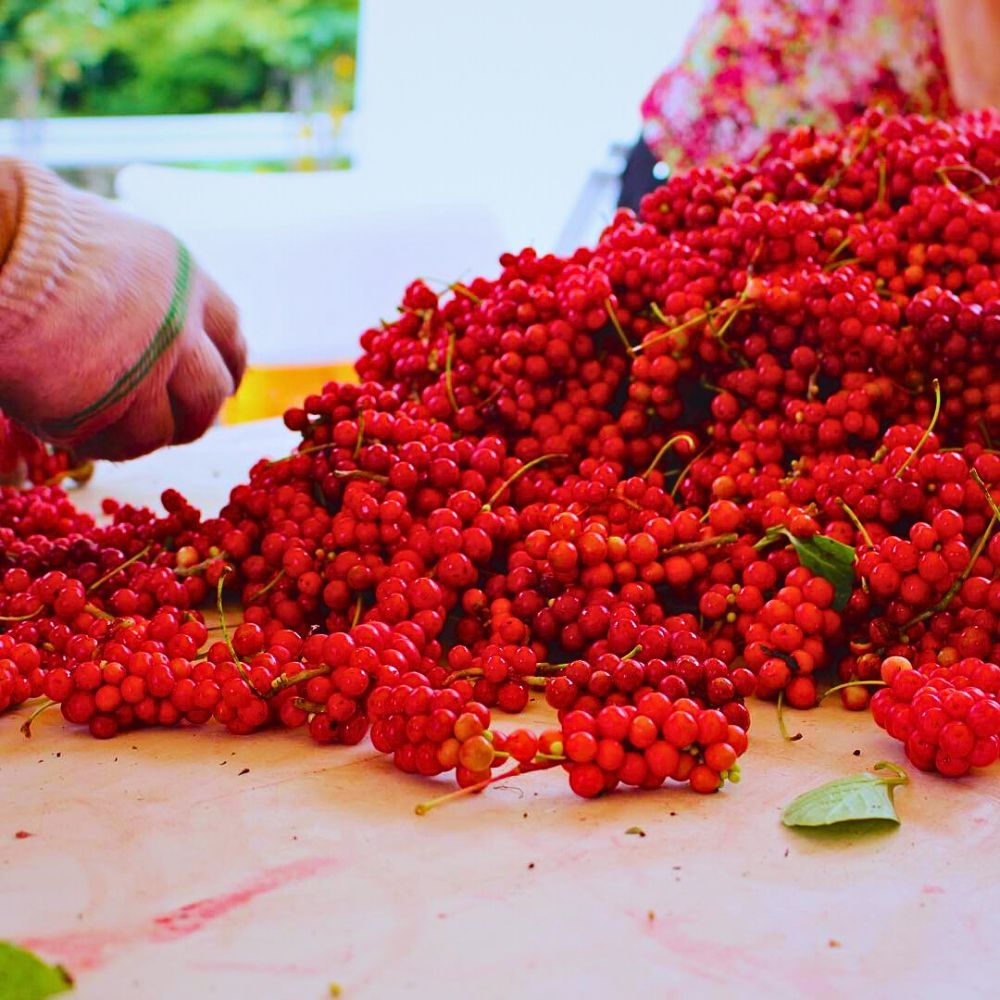 Schisandra chinensis is considered beneficial and helps cope with menopausal symptoms